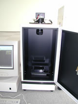 ����ե������ƥ�(����ȯ����������)